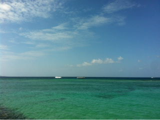 okinawa02.jpg