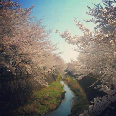 @20140331.jpg
