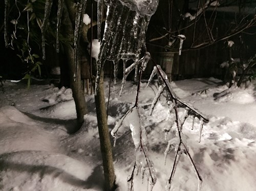 @2016012601.jpg