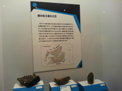 @DCIM0102.jpg