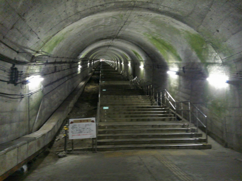 @DCIM0260.jpg