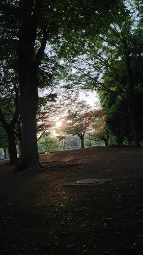 @DSC_0009.jpg