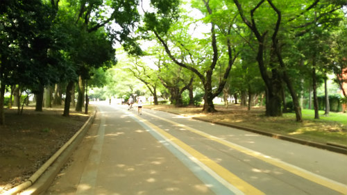 @DSC_0140.jpg