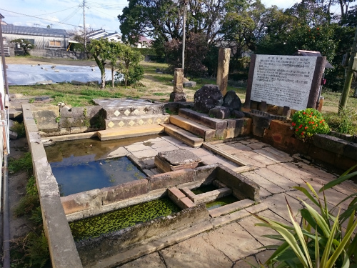 @DSC_0205.jpg