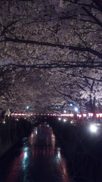 @DSC_0521.jpg