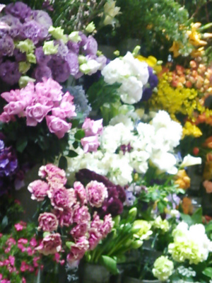 @DSC_0786.jpg