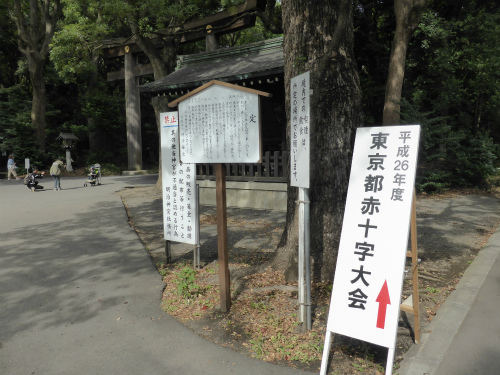@P1000540q.jpg