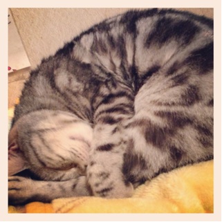 20130313.jpg
