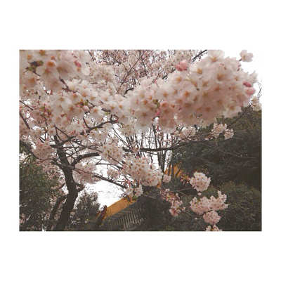 20140407.jpg