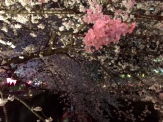 2016040501.jpeg