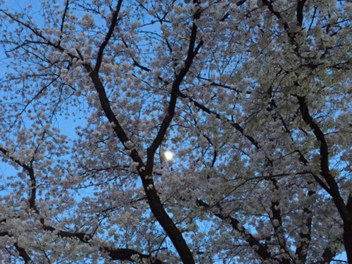 20170411.jpg