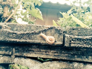 20150623.jpeg