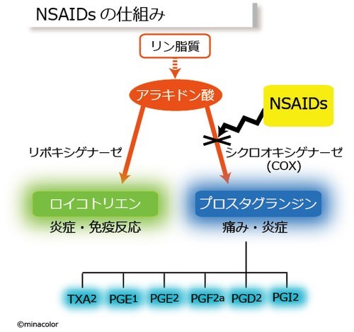 痛み止めの話 | 祖師ヶ谷大蔵駅すぐの歯医者｜谷村歯科医院