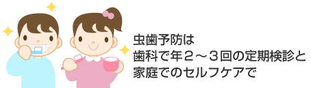 虫歯予防は歯科で年２〜３回の定期検診と家庭でのセルフケアで